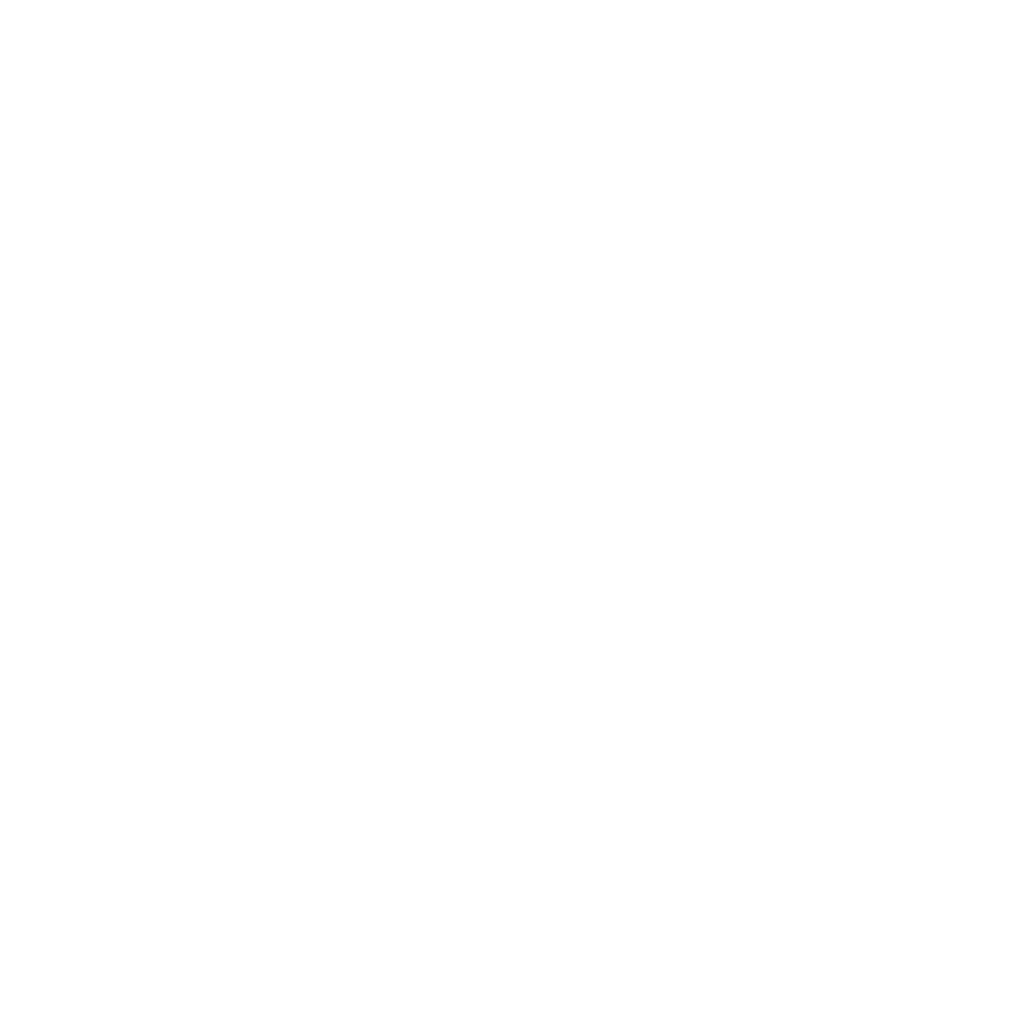 Asset